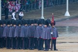 The Colonel's Review 2014.
Horse Guards Parade, Westminster,
London,

United Kingdom,
on 07 June 2014 at 10:14, image #74