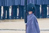 The Colonel's Review 2014.
Horse Guards Parade, Westminster,
London,

United Kingdom,
on 07 June 2014 at 10:20, image #101