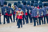 The Colonel's Review 2014.
Horse Guards Parade, Westminster,
London,

United Kingdom,
on 07 June 2014 at 10:20, image #102
