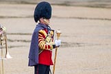 The Colonel's Review 2014.
Horse Guards Parade, Westminster,
London,

United Kingdom,
on 07 June 2014 at 10:23, image #108