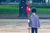 The Colonel's Review 2014.
Horse Guards Parade, Westminster,
London,

United Kingdom,
on 07 June 2014 at 10:23, image #110