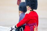 The Colonel's Review 2014.
Horse Guards Parade, Westminster,
London,

United Kingdom,
on 07 June 2014 at 10:25, image #111