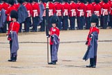 The Colonel's Review 2014.
Horse Guards Parade, Westminster,
London,

United Kingdom,
on 07 June 2014 at 10:25, image #113