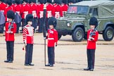 The Colonel's Review 2014.
Horse Guards Parade, Westminster,
London,

United Kingdom,
on 07 June 2014 at 10:27, image #123