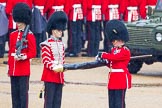 The Colonel's Review 2014.
Horse Guards Parade, Westminster,
London,

United Kingdom,
on 07 June 2014 at 10:28, image #124