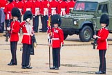 The Colonel's Review 2014.
Horse Guards Parade, Westminster,
London,

United Kingdom,
on 07 June 2014 at 10:29, image #133