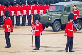 The Colonel's Review 2014.
Horse Guards Parade, Westminster,
London,

United Kingdom,
on 07 June 2014 at 10:29, image #137