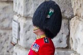 The Colonel's Review 2014.
Horse Guards Parade, Westminster,
London,

United Kingdom,
on 07 June 2014 at 10:30, image #138