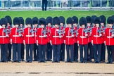 The Colonel's Review 2014.
Horse Guards Parade, Westminster,
London,

United Kingdom,
on 07 June 2014 at 10:32, image #141