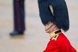 The Colonel's Review 2014.
Horse Guards Parade, Westminster,
London,

United Kingdom,
on 07 June 2014 at 10:33, image #142