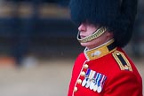 The Colonel's Review 2014.
Horse Guards Parade, Westminster,
London,

United Kingdom,
on 07 June 2014 at 10:33, image #143