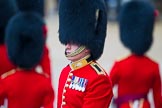 The Colonel's Review 2014.
Horse Guards Parade, Westminster,
London,

United Kingdom,
on 07 June 2014 at 10:33, image #144