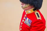 The Colonel's Review 2014.
Horse Guards Parade, Westminster,
London,

United Kingdom,
on 07 June 2014 at 10:33, image #145