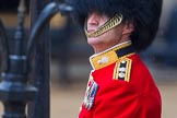The Colonel's Review 2014.
Horse Guards Parade, Westminster,
London,

United Kingdom,
on 07 June 2014 at 10:33, image #146