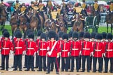 The Colonel's Review 2014.
Horse Guards Parade, Westminster,
London,

United Kingdom,
on 07 June 2014 at 10:40, image #167