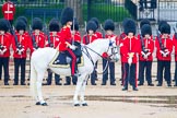 The Colonel's Review 2014.
Horse Guards Parade, Westminster,
London,

United Kingdom,
on 07 June 2014 at 10:41, image #172