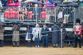 The Colonel's Review 2014.
Horse Guards Parade, Westminster,
London,

United Kingdom,
on 07 June 2014 at 10:44, image #174