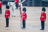 The Colonel's Review 2014.
Horse Guards Parade, Westminster,
London,

United Kingdom,
on 07 June 2014 at 10:45, image #180