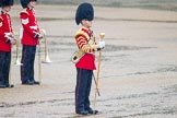 The Colonel's Review 2014.
Horse Guards Parade, Westminster,
London,

United Kingdom,
on 07 June 2014 at 10:45, image #186