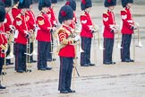 The Colonel's Review 2014.
Horse Guards Parade, Westminster,
London,

United Kingdom,
on 07 June 2014 at 10:45, image #187