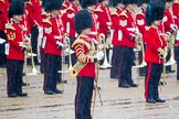 The Colonel's Review 2014.
Horse Guards Parade, Westminster,
London,

United Kingdom,
on 07 June 2014 at 10:45, image #188