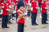 The Colonel's Review 2014.
Horse Guards Parade, Westminster,
London,

United Kingdom,
on 07 June 2014 at 10:45, image #189