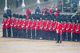 The Colonel's Review 2014.
Horse Guards Parade, Westminster,
London,

United Kingdom,
on 07 June 2014 at 10:46, image #193