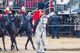 The Colonel's Review 2014.
Horse Guards Parade, Westminster,
London,

United Kingdom,
on 07 June 2014 at 10:56, image #233