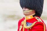 The Colonel's Review 2014.
Horse Guards Parade, Westminster,
London,

United Kingdom,
on 07 June 2014 at 10:57, image #238