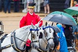 The Colonel's Review 2014.
Horse Guards Parade, Westminster,
London,

United Kingdom,
on 07 June 2014 at 10:59, image #260