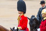 The Colonel's Review 2014.
Horse Guards Parade, Westminster,
London,

United Kingdom,
on 07 June 2014 at 11:00, image #273