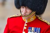 The Colonel's Review 2014.
Horse Guards Parade, Westminster,
London,

United Kingdom,
on 07 June 2014 at 11:01, image #283