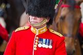 The Colonel's Review 2014.
Horse Guards Parade, Westminster,
London,

United Kingdom,
on 07 June 2014 at 11:01, image #284
