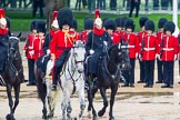 The Colonel's Review 2014.
Horse Guards Parade, Westminster,
London,

United Kingdom,
on 07 June 2014 at 11:04, image #295