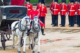 The Colonel's Review 2014.
Horse Guards Parade, Westminster,
London,

United Kingdom,
on 07 June 2014 at 11:05, image #297