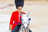 The Colonel's Review 2014.
Horse Guards Parade, Westminster,
London,

United Kingdom,
on 07 June 2014 at 11:05, image #300