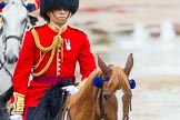 The Colonel's Review 2014.
Horse Guards Parade, Westminster,
London,

United Kingdom,
on 07 June 2014 at 11:05, image #304