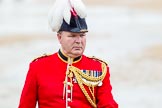 The Colonel's Review 2014.
Horse Guards Parade, Westminster,
London,

United Kingdom,
on 07 June 2014 at 11:06, image #312