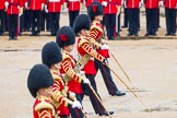 The Colonel's Review 2014.
Horse Guards Parade, Westminster,
London,

United Kingdom,
on 07 June 2014 at 11:08, image #322