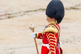 The Colonel's Review 2014.
Horse Guards Parade, Westminster,
London,

United Kingdom,
on 07 June 2014 at 11:11, image #337