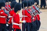 The Colonel's Review 2014.
Horse Guards Parade, Westminster,
London,

United Kingdom,
on 07 June 2014 at 11:16, image #369