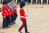 The Colonel's Review 2014.
Horse Guards Parade, Westminster,
London,

United Kingdom,
on 07 June 2014 at 11:16, image #370
