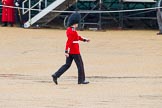 The Colonel's Review 2014.
Horse Guards Parade, Westminster,
London,

United Kingdom,
on 07 June 2014 at 11:16, image #372