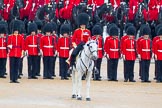 The Colonel's Review 2014.
Horse Guards Parade, Westminster,
London,

United Kingdom,
on 07 June 2014 at 11:18, image #379