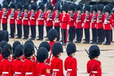 The Colonel's Review 2014.
Horse Guards Parade, Westminster,
London,

United Kingdom,
on 07 June 2014 at 11:18, image #380