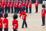 The Colonel's Review 2014.
Horse Guards Parade, Westminster,
London,

United Kingdom,
on 07 June 2014 at 11:18, image #381