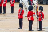 The Colonel's Review 2014.
Horse Guards Parade, Westminster,
London,

United Kingdom,
on 07 June 2014 at 11:18, image #382