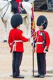 The Colonel's Review 2014.
Horse Guards Parade, Westminster,
London,

United Kingdom,
on 07 June 2014 at 11:18, image #383