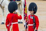 The Colonel's Review 2014.
Horse Guards Parade, Westminster,
London,

United Kingdom,
on 07 June 2014 at 11:18, image #384