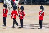 The Colonel's Review 2014.
Horse Guards Parade, Westminster,
London,

United Kingdom,
on 07 June 2014 at 11:19, image #385